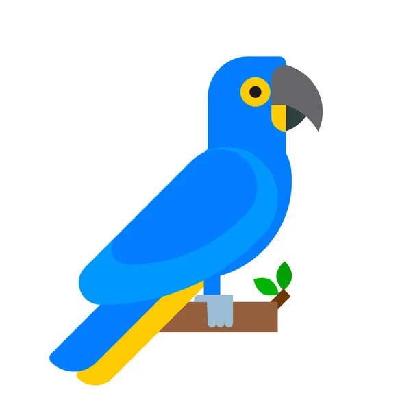 Perroquet oiseau bleu race espèce animal nature tropical perruches éducation coloré animal vecteur illustration — Image vectorielle