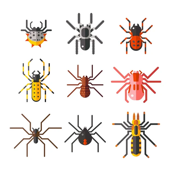 Spider web silhouet arachnid angst grafische plat eng dier ontwerp natuur insect gevaar horror halloween vector pictogram. — Stockvector