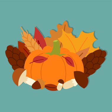 Taze kabak Şükran dekoratif mevsimlik olgun gıda organik sağlıklı vejetaryen sebze vektör