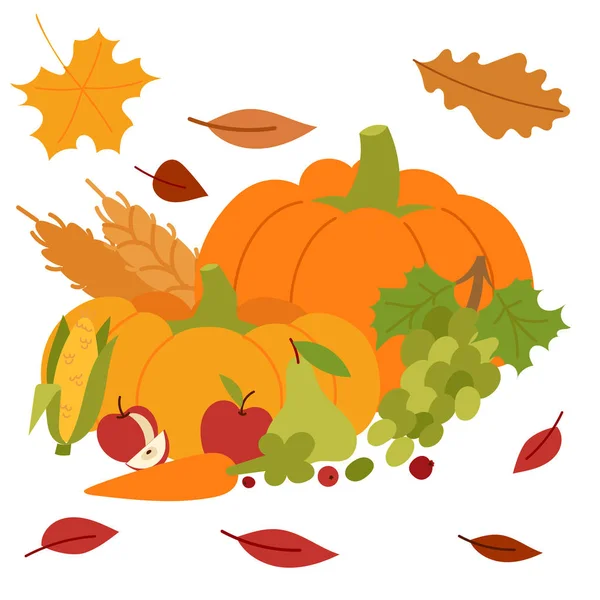 Fresh pumpkin thanksgiving decorative seasonal ripe food organic healthy vegetarian vegetable vector — Stock Vector