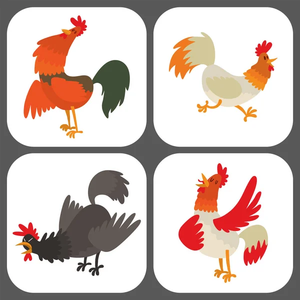 Χαριτωμένο χαρακτήρα κινουμένων σχεδίων τους κόκορας διανυσματικά εικονογράφηση Κοτόπουλο αγρόκτημα γεωργία των ζώων πτηνών. — Διανυσματικό Αρχείο