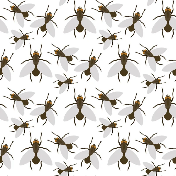Rovarok wildlife rovartan bug állati természet bogár biológia buzz ikon vektoros illusztráció minta varratmentes háttérben repülni — Stock Vector