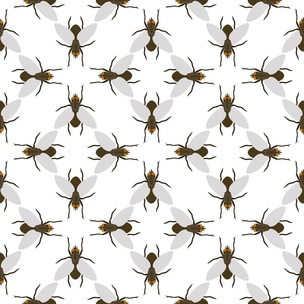 Mouche insectes faune entomologie insecte animal nature scarabée biologie buzz icône vecteur illustration modèle sans couture fond — Image vectorielle