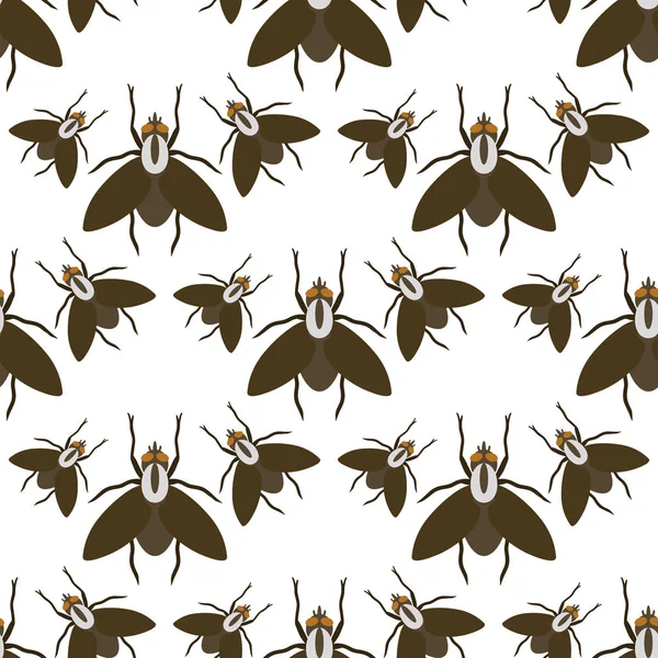 Fly insects wildlife entomology bug animal nature beetle biology buzz icon vector illustration pattern seamless background