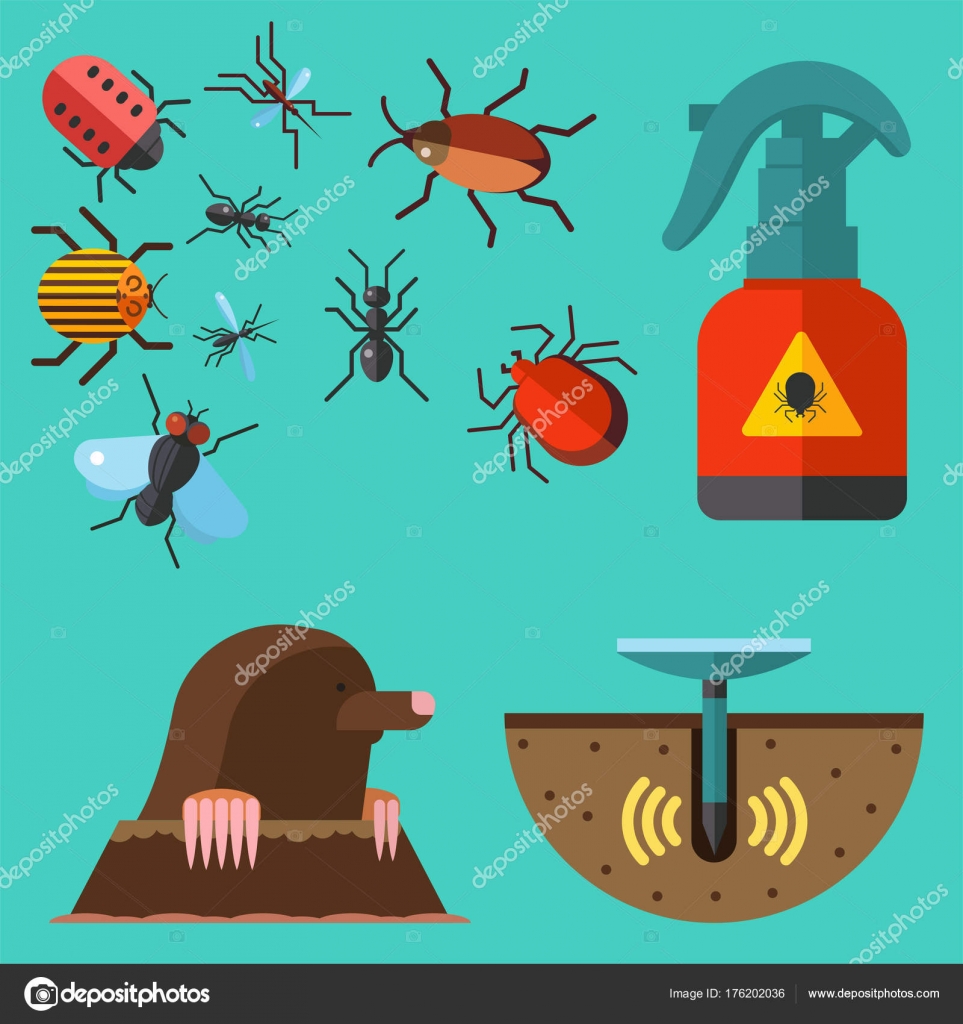 Ev haşere böcek vektör kontrolü uzman haşere yok edici hizmet haşere