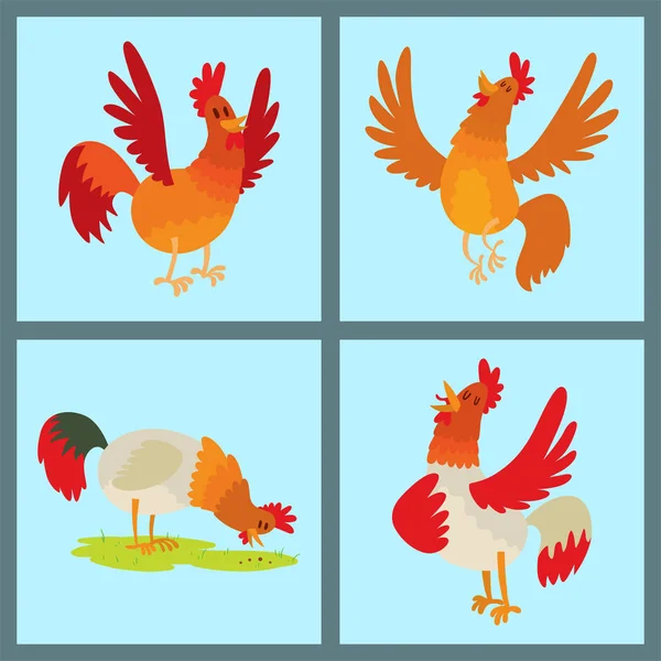 Cute cartoon rooster vector illustration chicken farm animal agriculture domestic bird rooster farm character. — Stock Vector