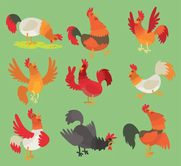 Vector tupp kuk kyckling tecknad karaktär illustration. Tupp isolerad på bakgrunden. Farm animal fågel symbol tupp, kuk gård fågel olika pose — Stock vektor
