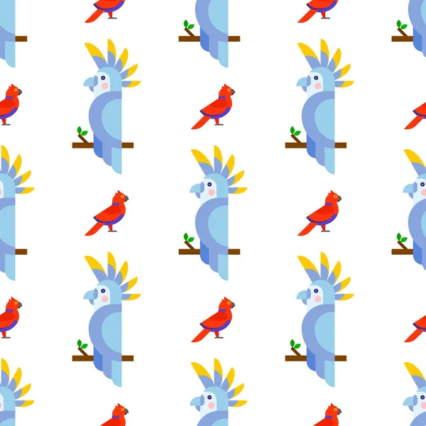Papugi ptaki wzór Zwierzęta Natura Tropikalne papugi edukacja ilustracja kolorowy wektor zwierzę — Wektor stockowy