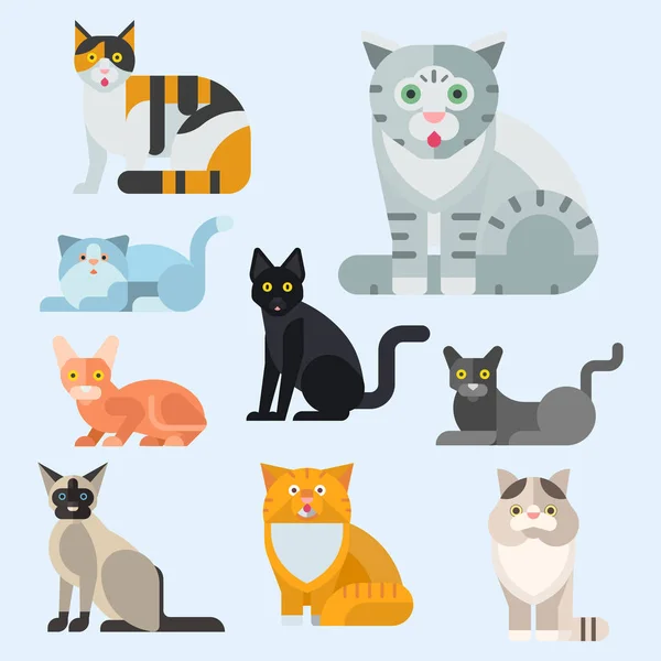 Katter vektor illustration söta djur roliga dekorativa kitty tecken felint inhemska kattunge trendiga husdjur dras — Stock vektor