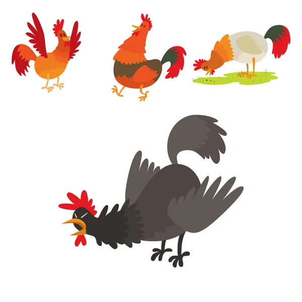 Desenhos animados bonito galo vetor ilustração galinheiro fazenda animal agricultura doméstico pássaro galo fazenda caráter . — Vetor de Stock