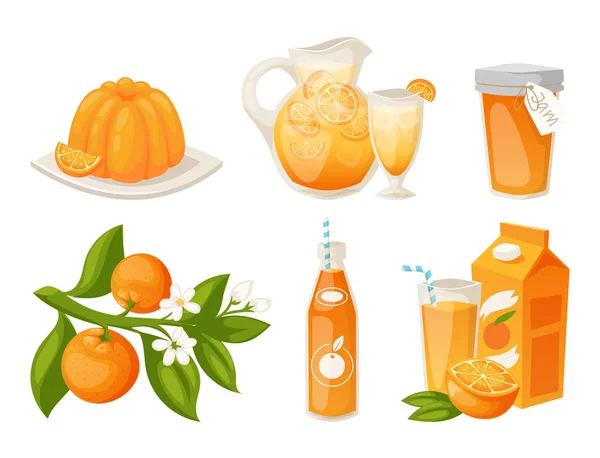 Oranges and orange products vector illustration natural citrus fruit vector juicy tropical dessert beauty organic juice healthy food. — Stock Vector