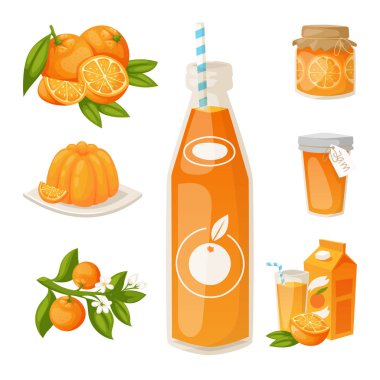 Vektör çizim doğal narenciye meyve vektör sulu tropikal tatlı güzellik organik meyve suyu sağlıklı yemek portakal ve turuncu ürünleri.
