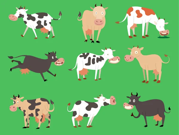 Melk vector koe stier met kalf buffalo verschillende koeien kleuren melkveebedrijf rundvlees, binnenlandse landbouwhuisdieren van aard. Cartoon actie set, met leuke mooie vaars verschillend in verschillende poses — Stockvector