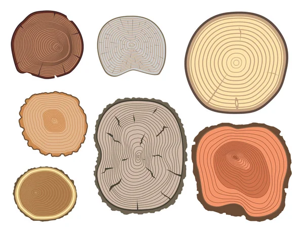 Árbol madera tronco rebanada textura círculo corte madera materia prima vector detalle planta años historia textura bosque áspero árbol superior . — Archivo Imágenes Vectoriales