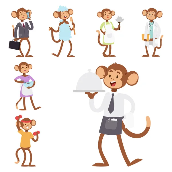 Monkeys rare animal vector cartoon macaque like people nature primate character wild zoo ape chimpanzee illustration. — Stock Vector