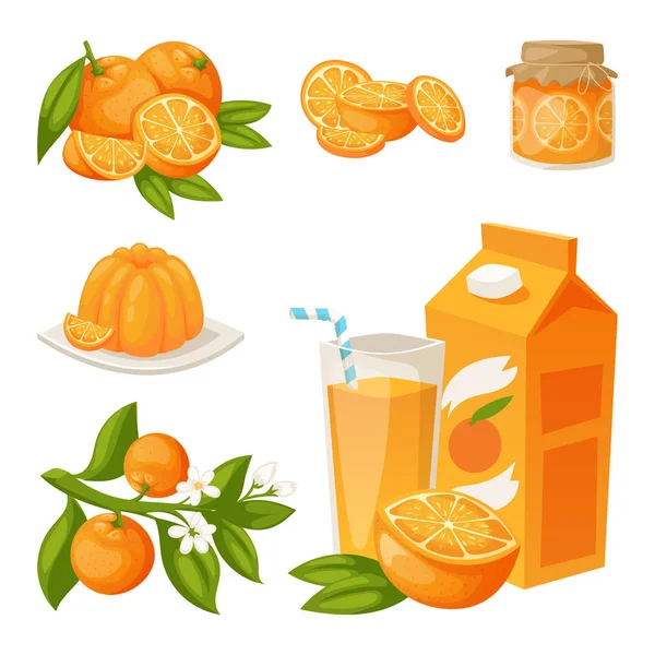 Sinaasappelen en oranje producten vector illustratie natuurlijke citrusvruchten vector sappige tropische dessert beauty biologisch SAP gezonde voeding. — Stockvector