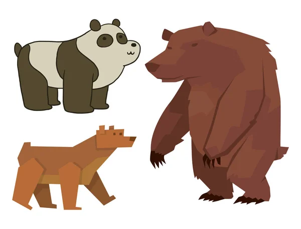 Állati vektor emlős teddy grizzly vicces boldog rajzfilm ragadozó aranyos karakter illusztráció medve. — Stock Vector