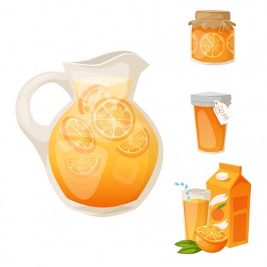 Vektör çizim doğal narenciye meyve vektör sulu tropikal tatlı güzellik organik meyve suyu sağlıklı yemek portakal ve turuncu ürünleri.