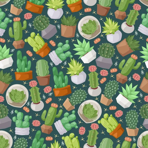 Cacto e plantas suculentas sem costura padrão, ilustração vetorial. Ícones isolados de plantas de sala bonitos, cactos decorativos em vasos de flores. Design de papel de embrulho, impressão de fundo —  Vetores de Stock