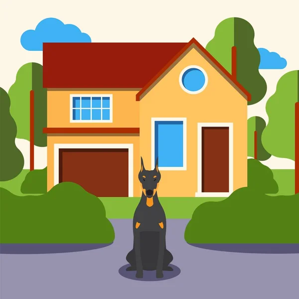 Dog in front of house, doberman cartoon character, pet animal sitting, flat style vector illustration — Stock vektor