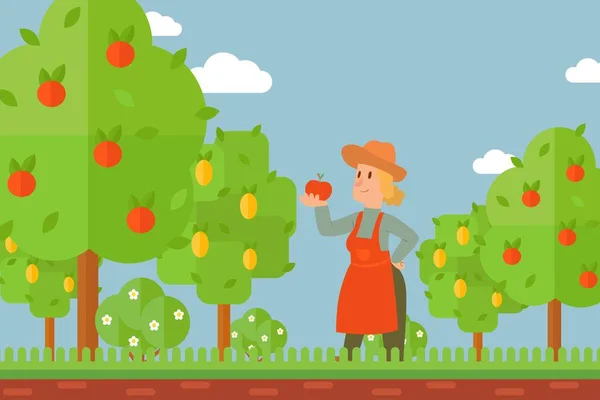 Mujer en huerto, personaje de dibujos animados con manzana, agricultora en el jardín de verano, ilustración vectorial — Archivo Imágenes Vectoriales