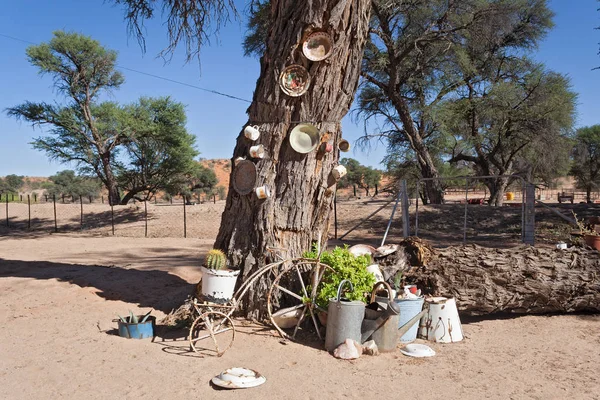 Bodegón de viejos electrodomésticos en una granja en Namibia — Foto de Stock