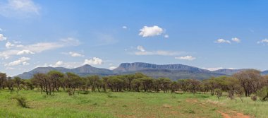 Panoramik manzaralı bir dağ Marakele National Park, Güney Afrika