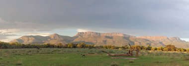 Panoramik manzaralı bir dağ Marakele National Park, Güney Afrika