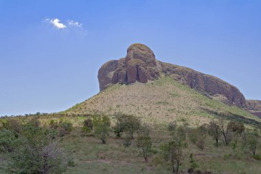 Landscape in the Marakele National Park, Limpopo, South Africa clipart