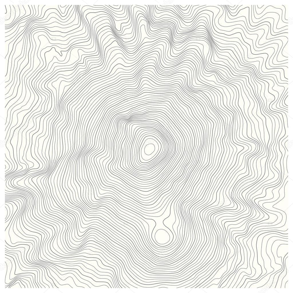 detailed topographic map with contour lines of a mountain