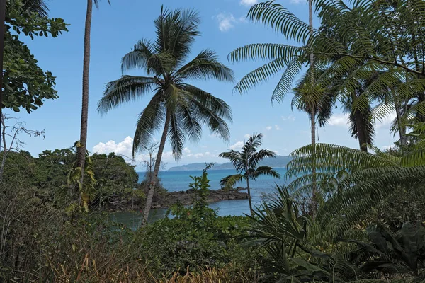 Drake Bay Costa Rica'da üzerinden görünüm — Stok fotoğraf