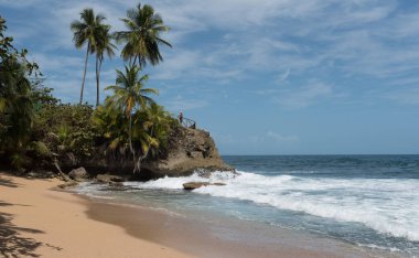 Punta Manzanillo, Gandoca Manzanillo Milli Yaban hayatı Sığınağı, Kosta Rika, rock ile Sahil