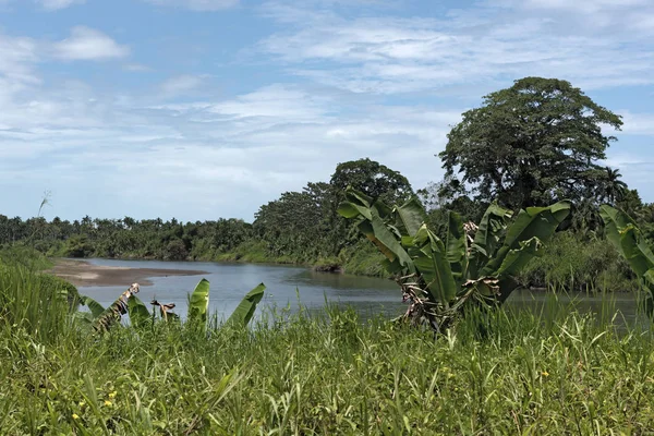 Rio Sixola, rio fronteiriço entre Costa Rica e Panamá — Fotografia de Stock