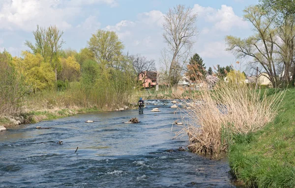 Fly fishing in the renatured Nidda River — Stock Photo, Image