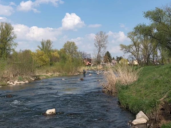 Flugfiske i renatured Nidda floden — Stockfoto