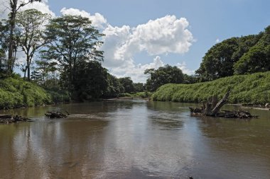 The Tortuguero River in the north east of Costa Rica clipart