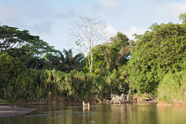 O rio Tortuguero no nordeste da Costa Rica — Fotografia de Stock