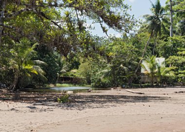 Küçük lagoon beach Drake'in Puntarenas, Costa Rica ili
