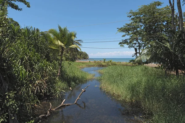 Pequeno rio na praia de Drake, na província de Puntarenas, Costa Rica — Fotografia de Stock