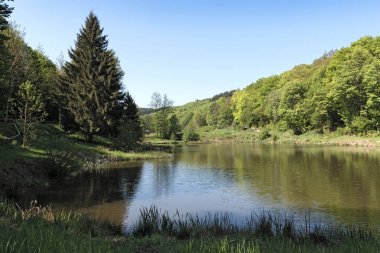 Baerenfichtenweiher Niederreifenberg ve Schmitten Taunus, Almanya arasında