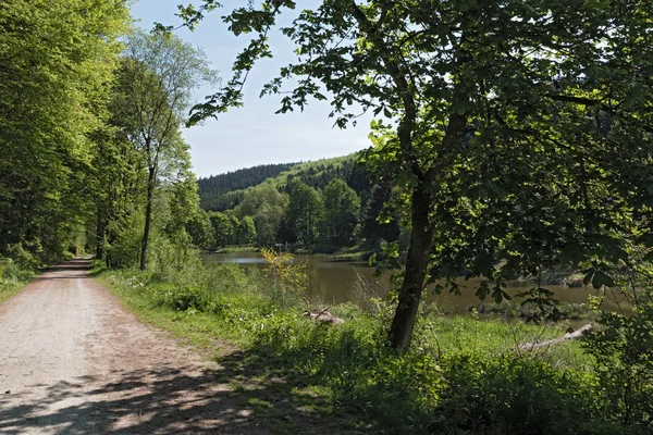 A Baerenfichtenweiher között Niederreifenberg és Schmitten, a Taunus, Németország — Stock Fotó