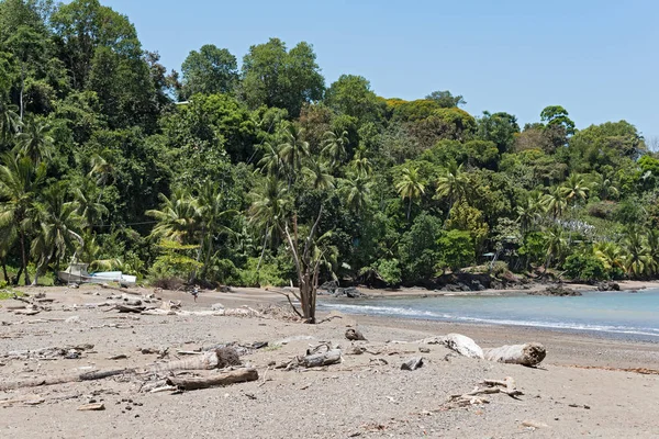 Kokosové palmy na pláži drake, Kostarika — Stock fotografie