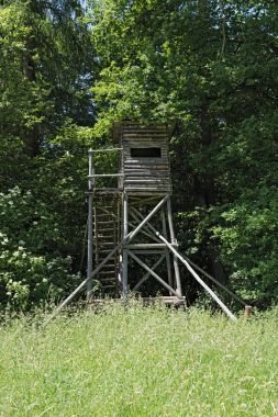 Avcı stand yeşil yaz Forest, Almanya