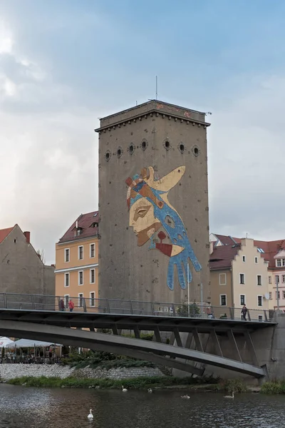 Veduta del Dreiradenmuhle a Lusaziano Neisse a Zgorzelec, Polonia — Foto Stock