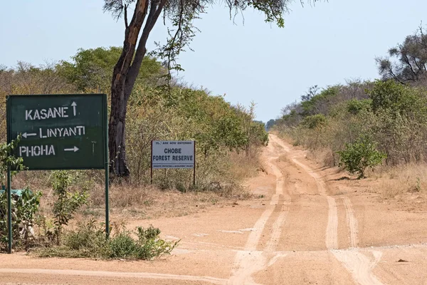 Cesta Národního Parku Chobe Botswaně — Stock fotografie