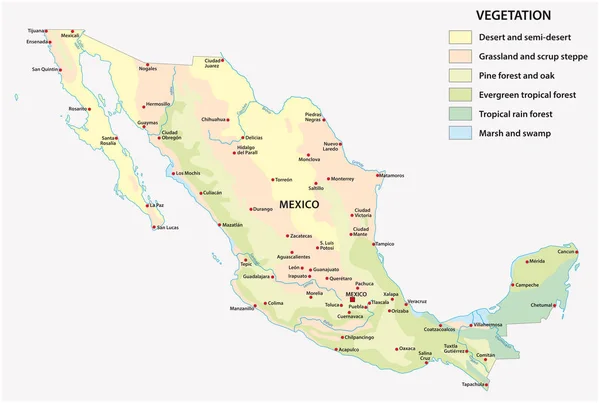 Vegetatie Vector Kaart Van Mexico Land Met Belangrijke Steden — Stockvector