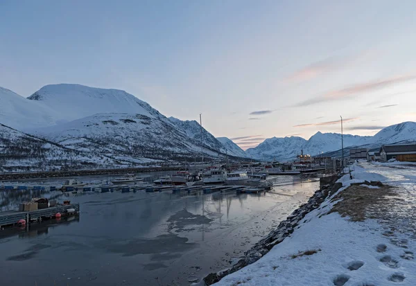 挪威北部 Lenangen 2018年1月21日 Troms Lenangen Lyngen 的避风港湾中的船只 — 图库照片