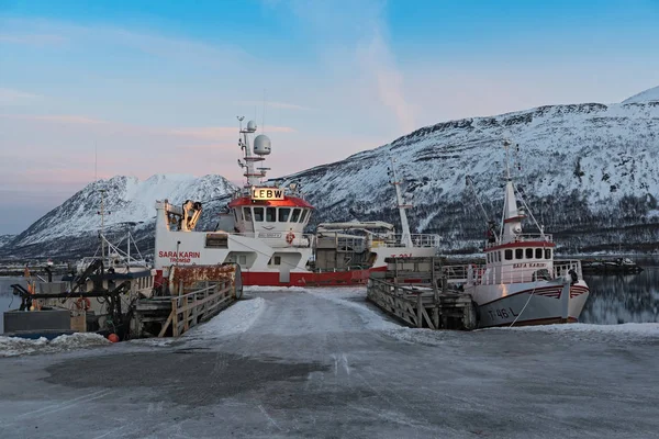 挪威北部 Lenangen 2018年1月21日 Troms Lenangen Lyngen 的避风港湾中的船只 — 图库照片