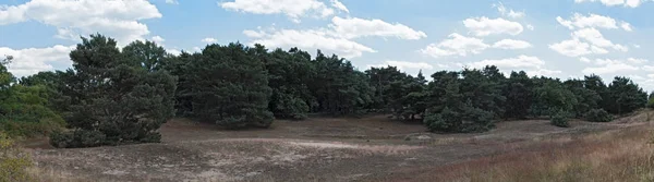 Panorama Nature conservation area Schwanheimer dune in Frankfurt am Main, Hesse, Germany