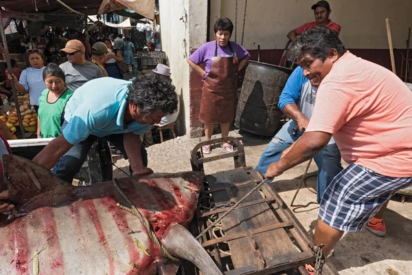 Campeche Meksyk Marca 2018 Dostawy Rekina Działu Ryb Mercado Podmiotu — Zdjęcie stockowe